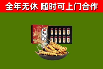 王益烟酒回收冬虫夏草礼盒.jpg